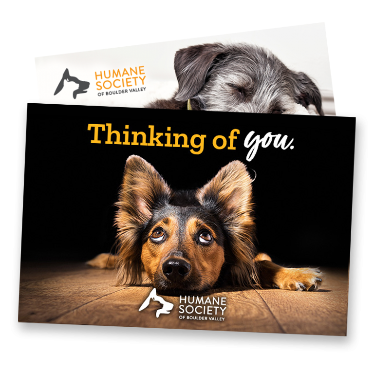 Send An ECard Humane Society Of Boulder Valley