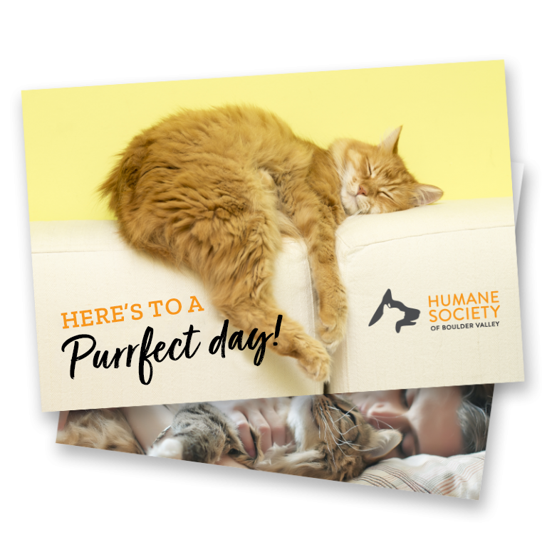 Send An ECard Humane Society Of Boulder Valley