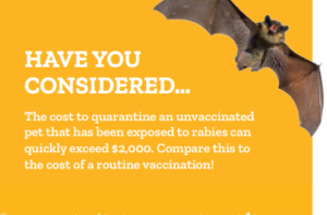HSBV Rabies Consider the cost of vaccine and pet quarantine image