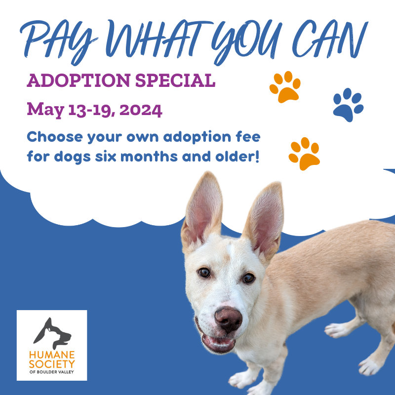 Choose Your Own Adoption Fee for Dogs Six Months and Older!