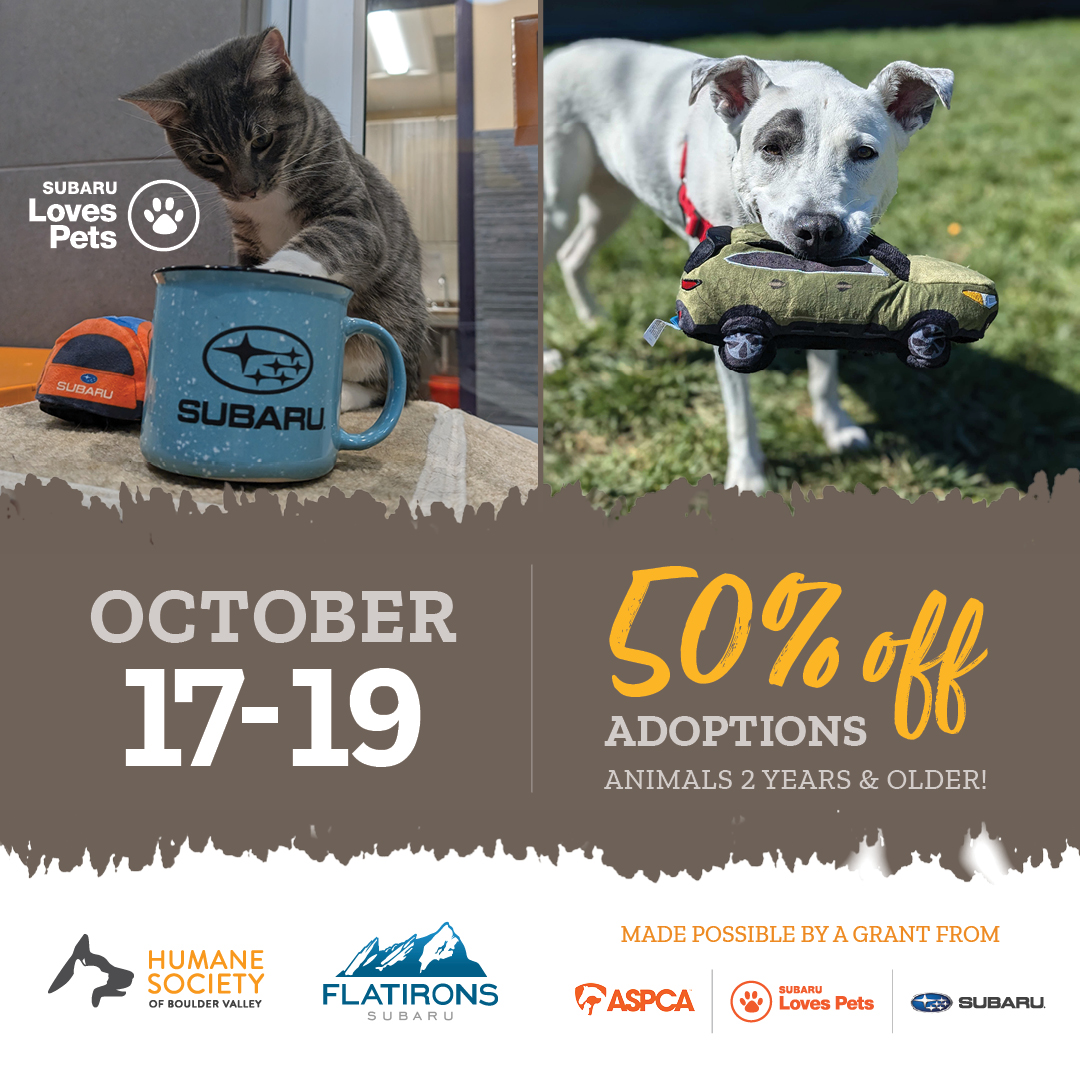 HSBV Subaru Loves Pets 2025 Pop-Up v2