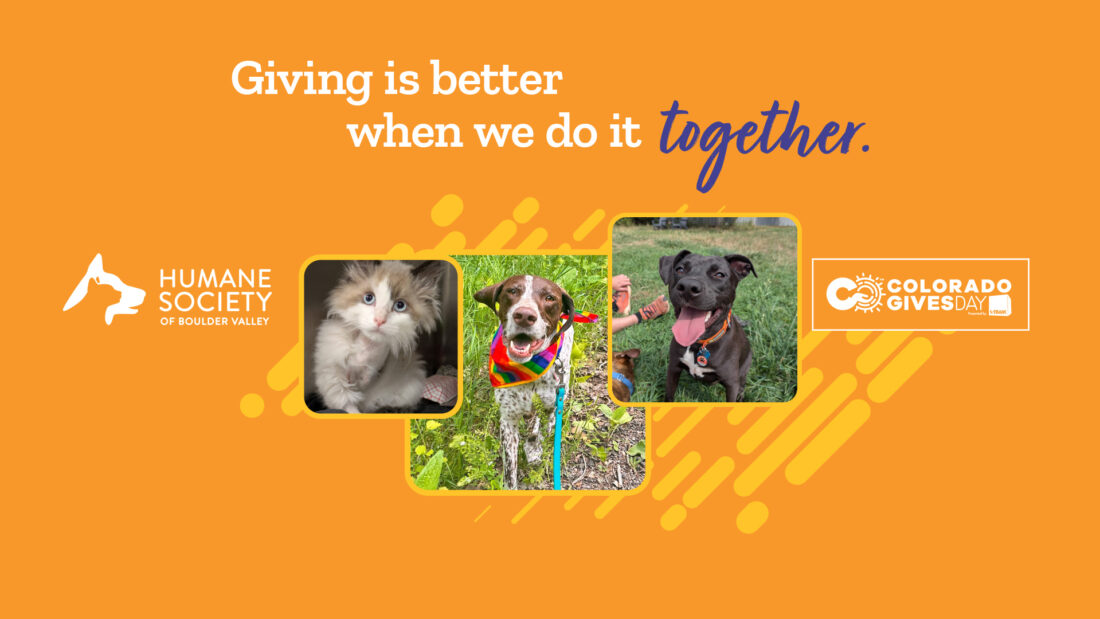 cgd25-header2 cgd25-header2