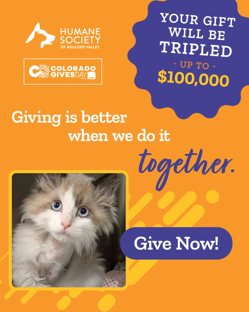 HSBV-A4A2025-WebPopUp-Homepage+Dogs-v1 - 1