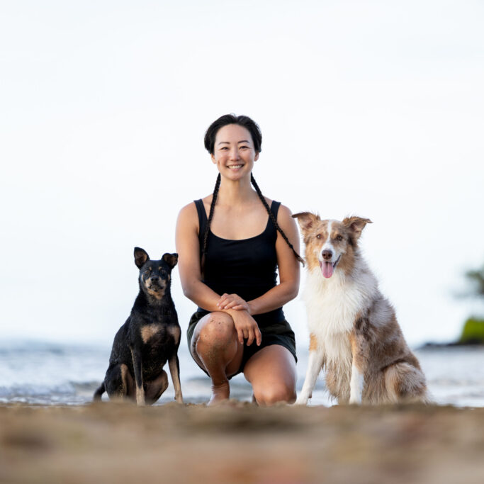 Akamai Dog Training